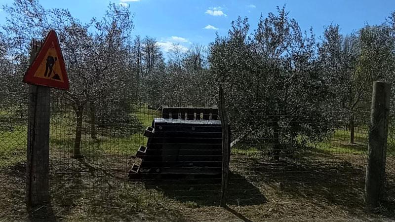 Rubata una Madonnina degli ulivi in gesso messa in strada dal falegname devoto
