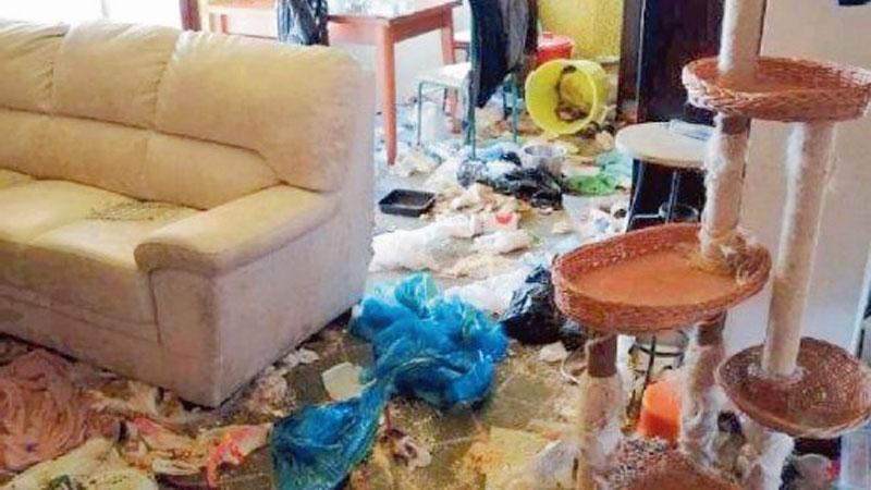 Abbandono di animali: condannata a sei mesi e a risarcire i danni