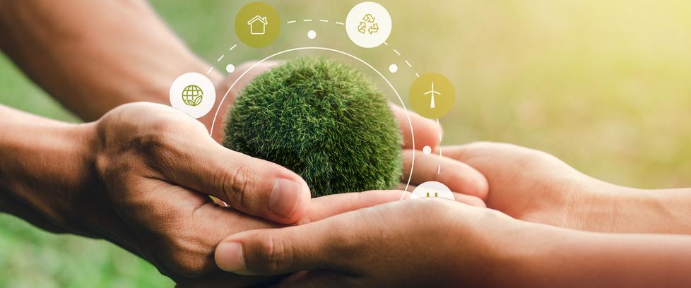 Sole, vento e biomasse Alla ricerca di “potenza”