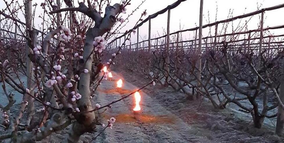 Ferrara, il fuoco per salvare il raccolto