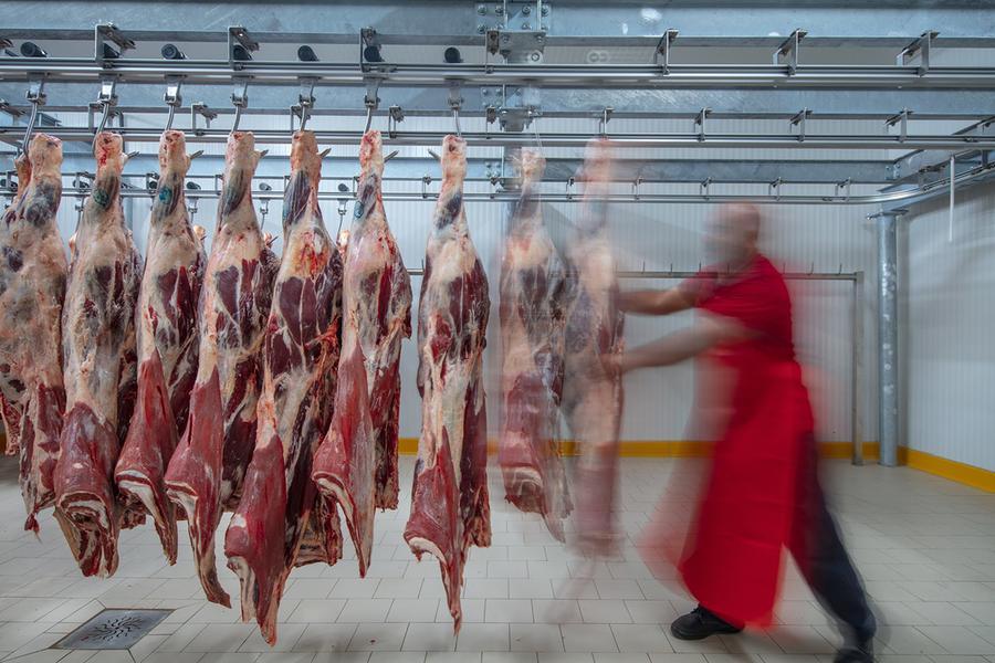 Modena, frode nel settore carni: sequestro per 4 milioni di euro