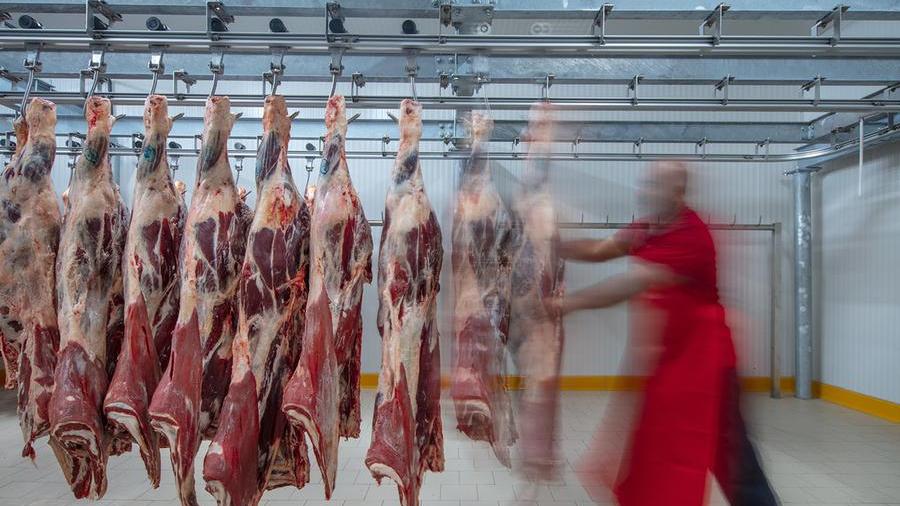 Modena, frode nel settore carni: sequestro per 4 milioni di euro