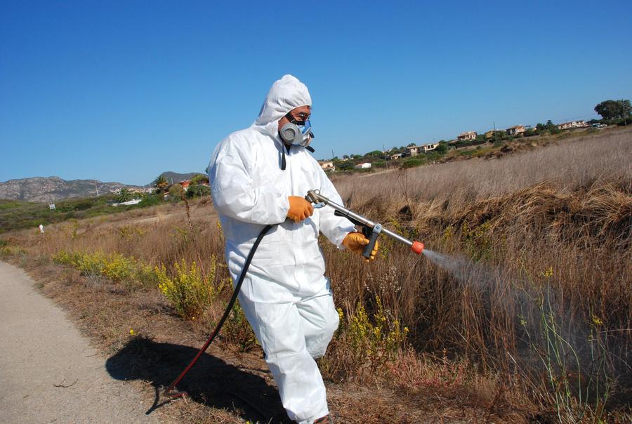 
	Attivit&agrave; di disinfestazione nelle campagne

