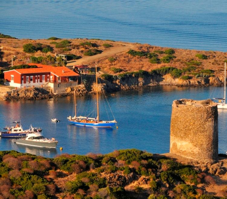 Il Parco dell’Asinara da 7 anni senza guida, il caso in Parlamento 