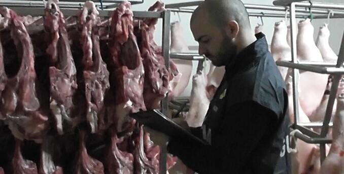 Castelfranco e Spilamberto: la manodopera fantasma Maxi frode da 4 milioni 