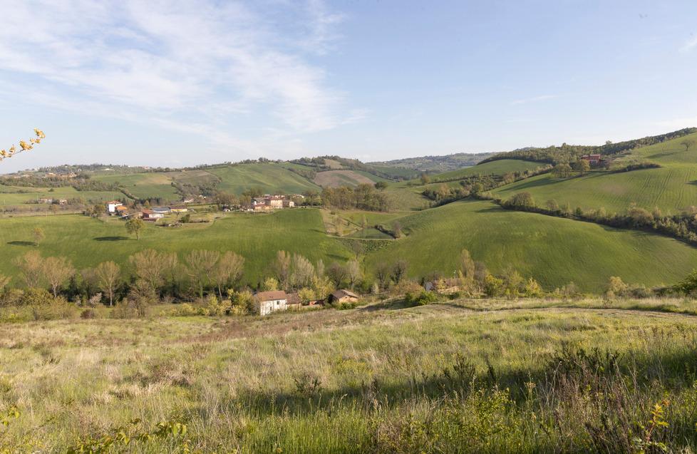 Fiorano Ossa umane nella boscaglia A dare l’allarme è un passante 