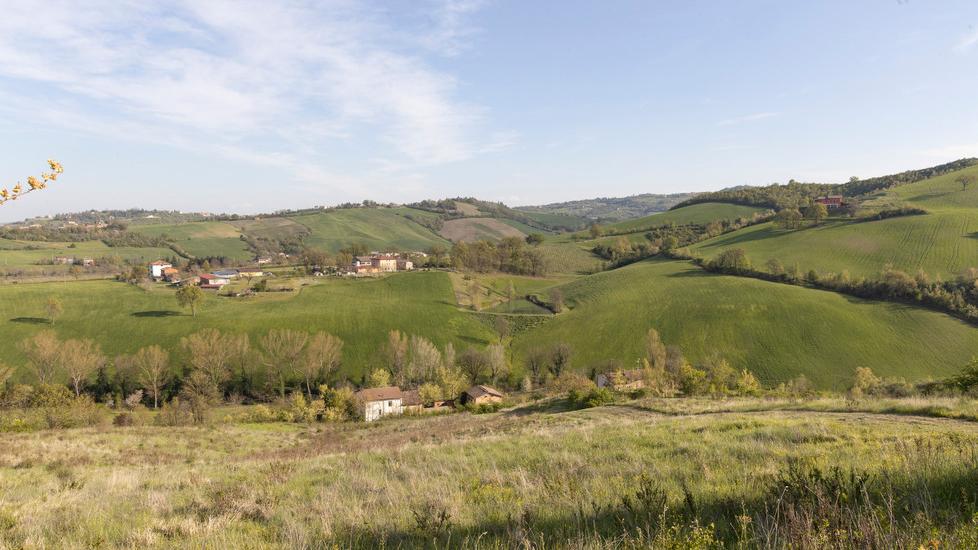 Fiorano Ossa umane nella boscaglia A dare l’allarme è un passante