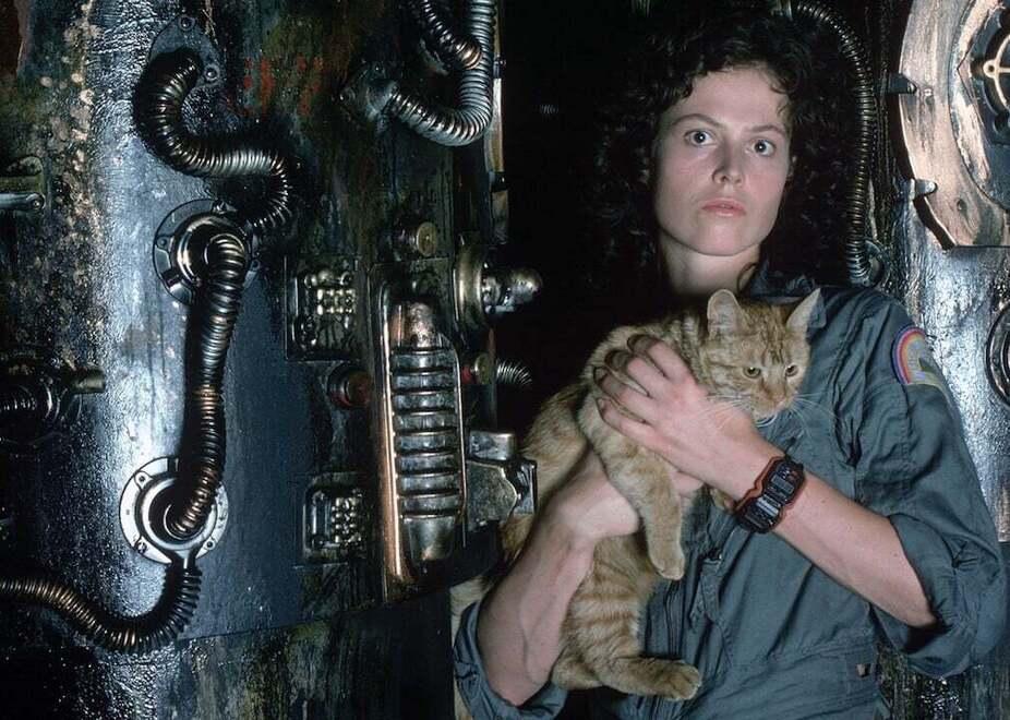 «Quei mostri fantascientifici
invito a riflettere sul futuro»