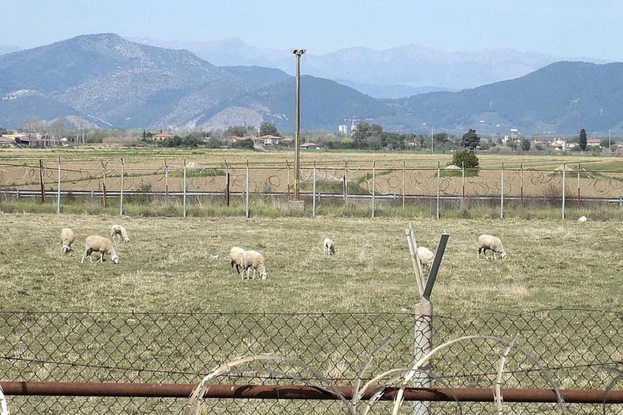 Una veduta dei terreni agricoli di Coltano (foto d'archivio)