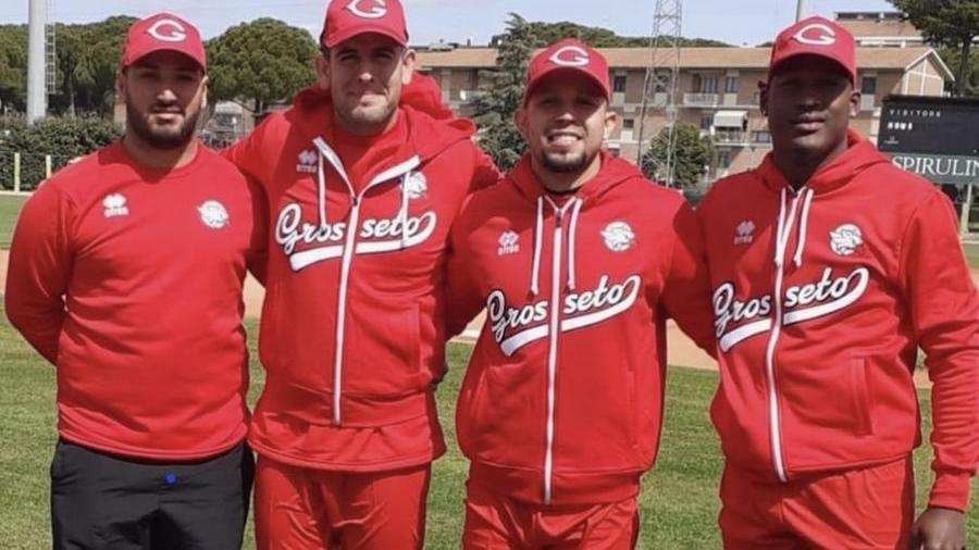 I quattro acquisti del Bbc Grosseto per la nuova stagione, da sinistra: Franco Pizzoli, Renzo Martini, Freddy Noguera e Rushenten Tomsjansen