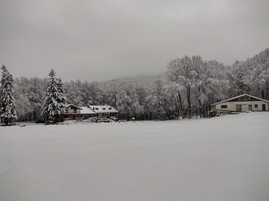 
	Il prato delle Macinaie imbiancato (foto dalla pagina Facebook Monte Amiata e dintorni)

