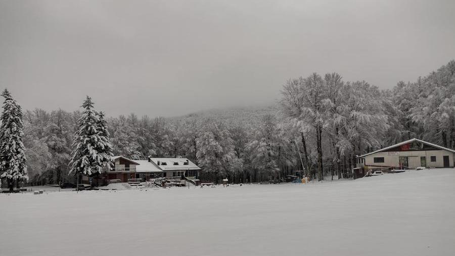 Il prato delle Macinaie imbiancato (foto dalla pagina Facebook Monte Amiata e dintorni)