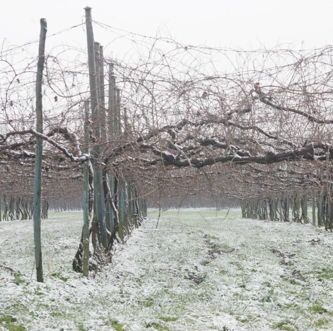 Previsioni meteo di Pasqua, un fine settimana di sole e temperature in aumento
