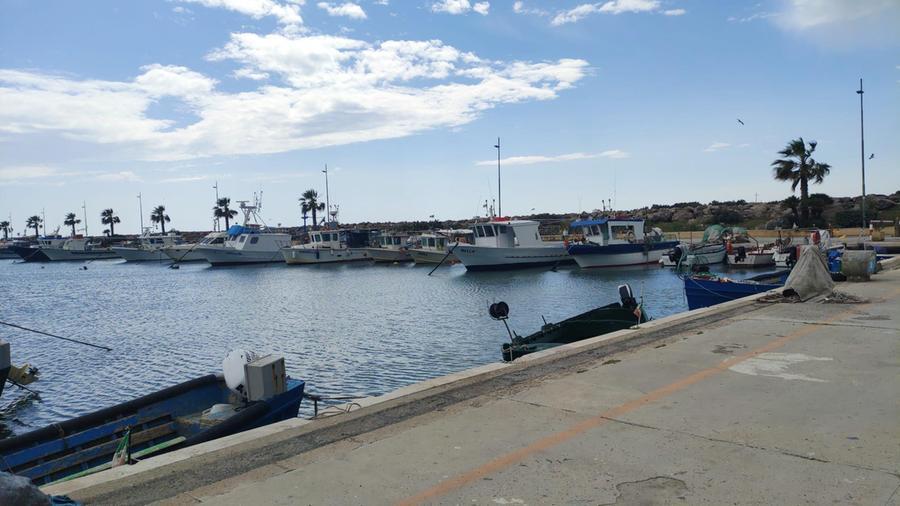 
	Pescherecci ormeggiati al porticciolo di Torregrande

