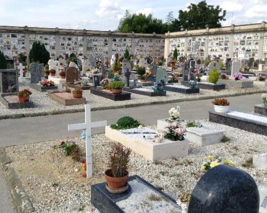 Prato, guerra alle formiche al cimitero di Galciana 