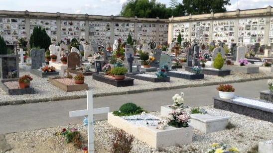 Prato, guerra alle formiche al cimitero di Galciana