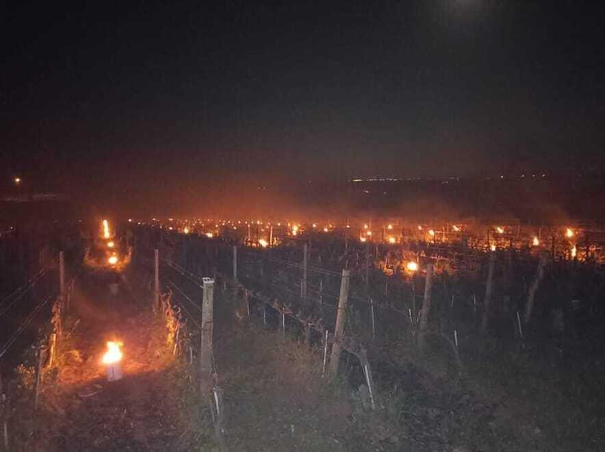I falò che scaldano i terreni a Suvereto: gli antichi rimedi contro il gelo