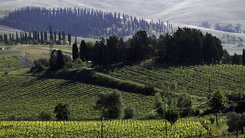 Patto tra Comuni per far nascere il Distretto rurale del Monte Pisano