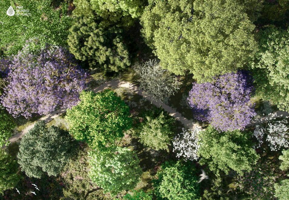 A Tobbiana un bosco con 150 alberi