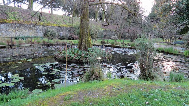 Lucca, nuove tariffe per le torri e l’ingresso all’Orto botanico