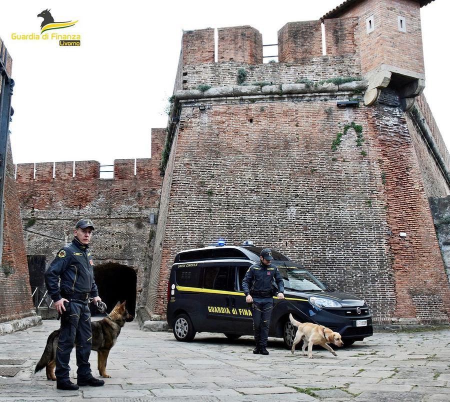 Livorno, nascondeva cocaina ed eroina: arrestato dalla guardia di finanza