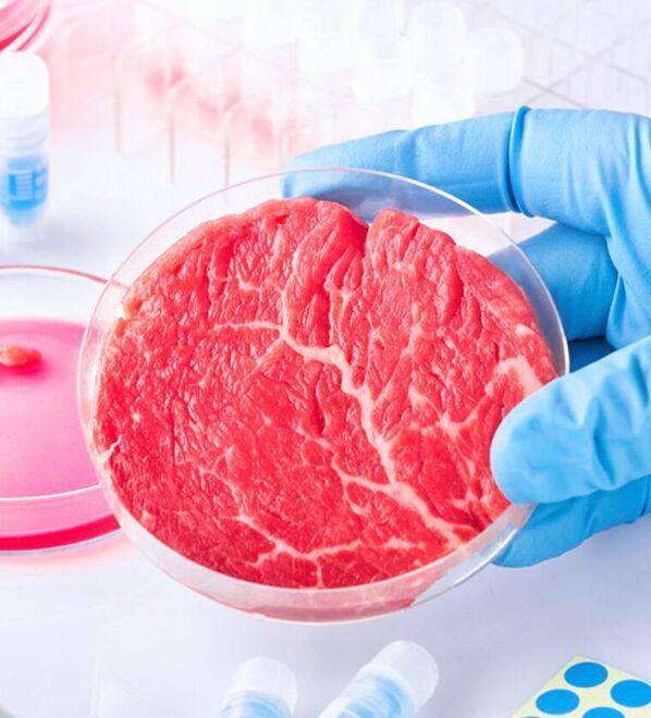 Carne sintetica, la parola all’esperta: «Non sostituisce gli allevamenti»