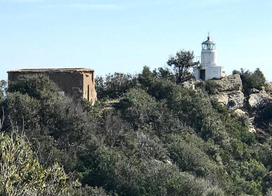 Caso Capo Porto e cinghiali: «Premiata la linea del Parco»