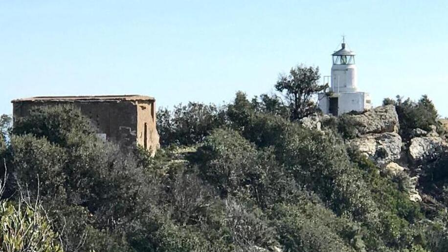 Caso Capo Porto e cinghiali: «Premiata la linea del Parco»