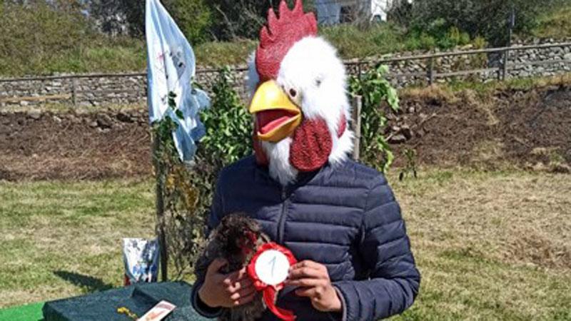 Concorso di bruttezza per polli, vince l’arruffata Struffetta. E il proprietario si traveste da gallo gigante