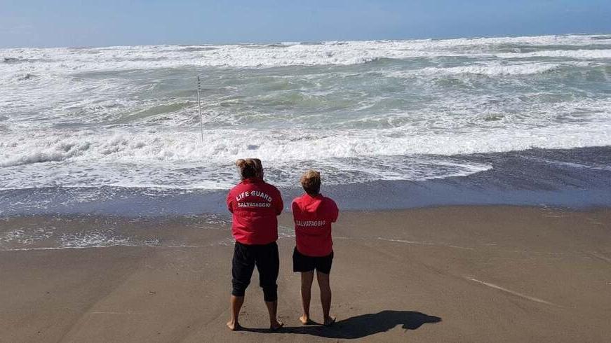 Bagnini a Marina di Castagneto, è già allarme per l’estate: Lifeguard Costa Ovest ne cerca 10