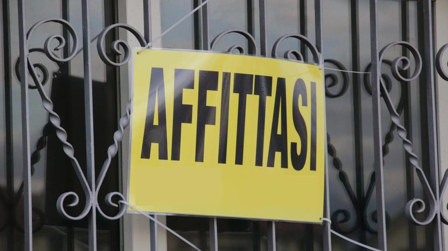«Cerco un affitto di un anno»: le agenzie immobiliari ci hanno risposto così