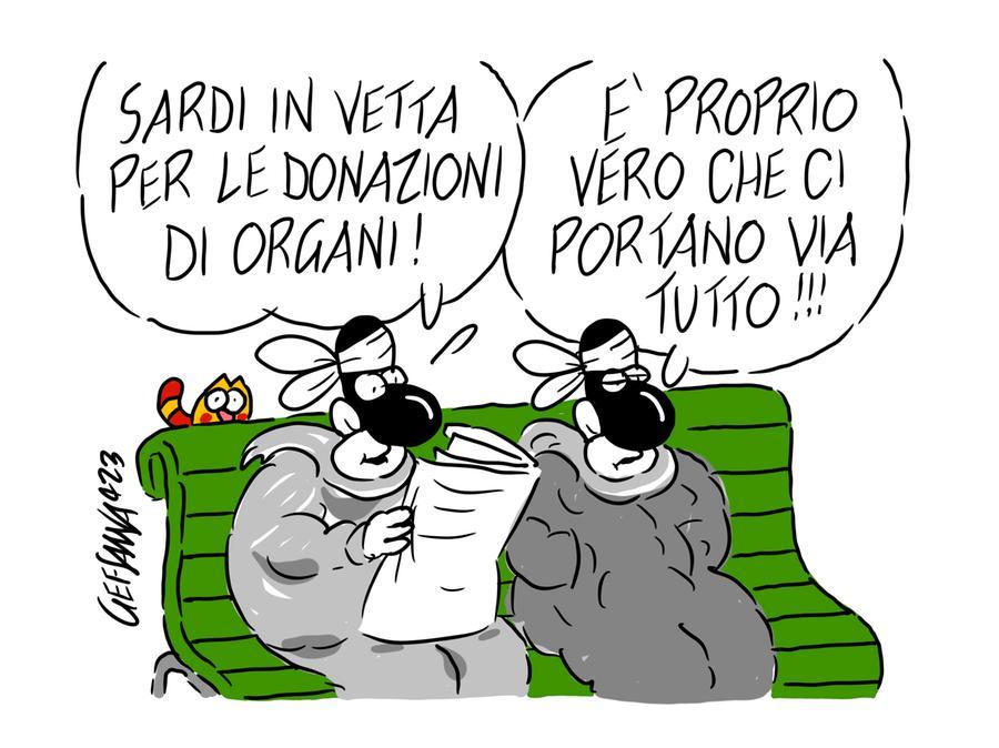 La vignetta di Gef - Donazione di organi, Sassari città generosa: seconda in Italia
