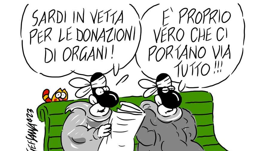 La vignetta di Gef - Donazione di organi, Sassari città generosa: seconda in Italia
