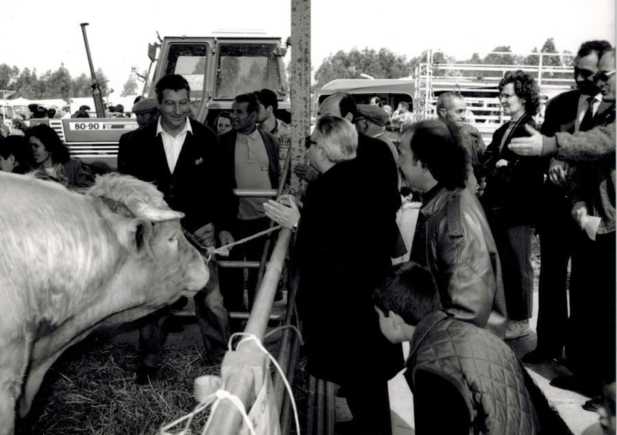 
	Un'immagine d'epoca della Fiera di San Marco a Ollastra

