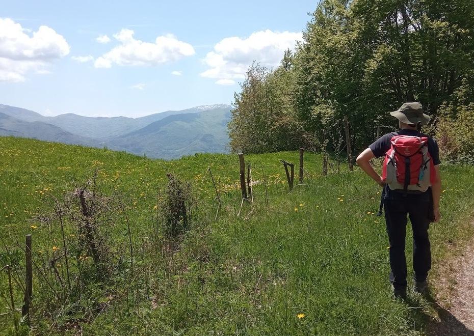 Turismo nel Modenese, a Pasqua è stato boom «Ma trovare personale è difficile» 