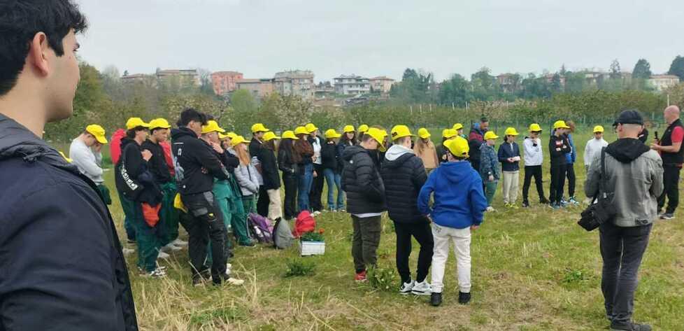 Vignola&nbsp; Mille alberi piantati vicino al Percorso Natura 