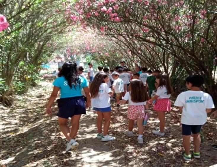 La crisi demografica e i giovani