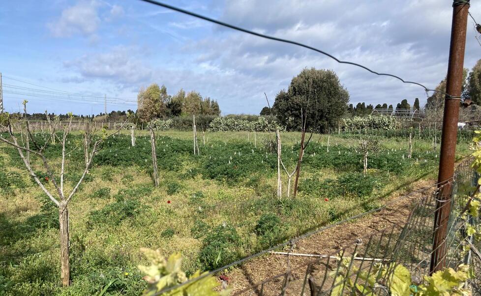 L’avvocato sull’ambulanza ha guidato i soccorritori