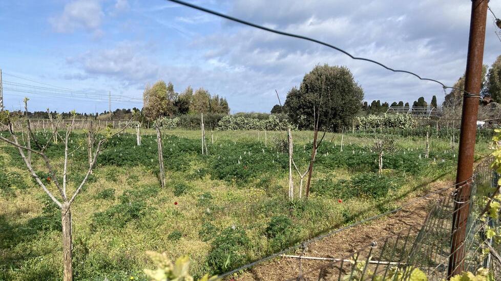 L’avvocato sull’ambulanza ha guidato i soccorritori