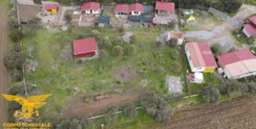 Carbonia, sequestrato rifugio per animali abusivo in una zona vincolata