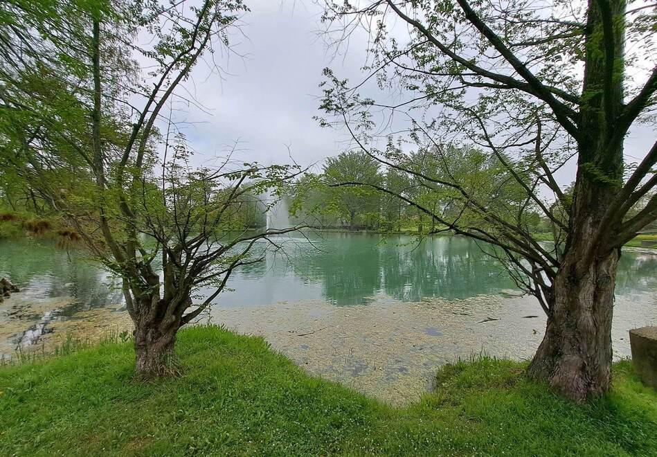 Modena. Parco Amendola e Parco Repubblica: bene ma quante mucillagini 