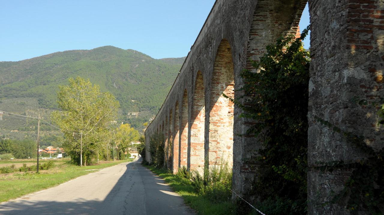 Docente investita, il pirata della strada trovato in Lucchesia