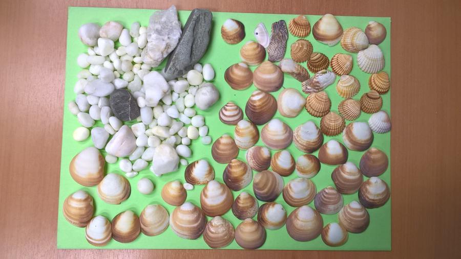 Trecento chili di conchiglie e ciottoli “prelevati” da turisti restituiti al parco di Porto Conte