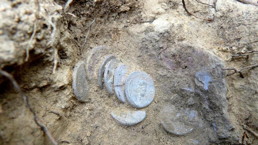 Livorno, 175 monete romane di duemila anni fa trovate nel bosco: ora saranno esposte al Museo
