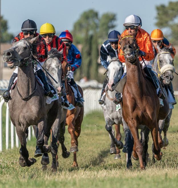 Galoppo, entusiasmo alle stelle: al via a Chilivani la 97ª stagione