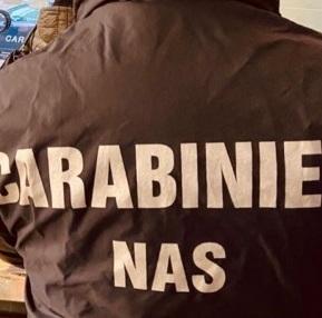 Argenta, il negozio è sporco: multa di mille euro