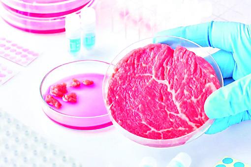 Contro i cibi sintetici firma anche Solinas