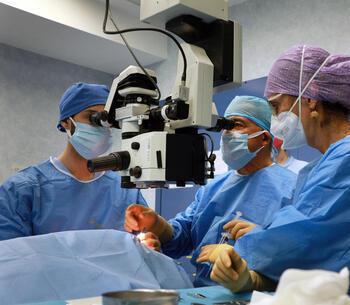 Organi, a Modena 167 donazioni Per le cornee i “no” sono dimezzati 