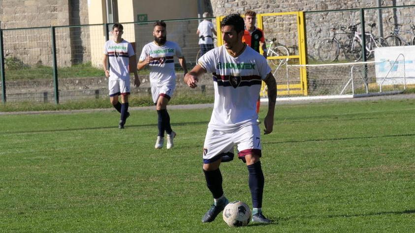 I bluamaranto in azione (foto d’archivio)