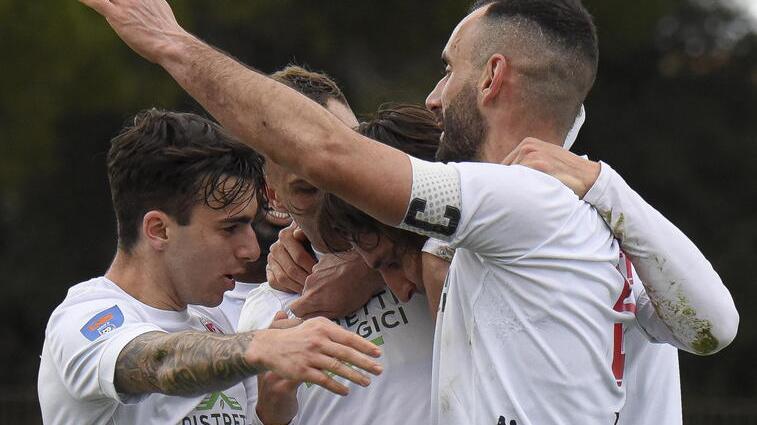 I torelli festeggiano dopo una rete in campionato (foto Agenzia Bf)